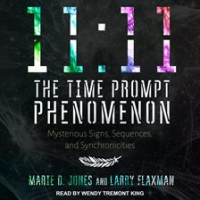 11_11_The_Time_Prompt_Phenomenon